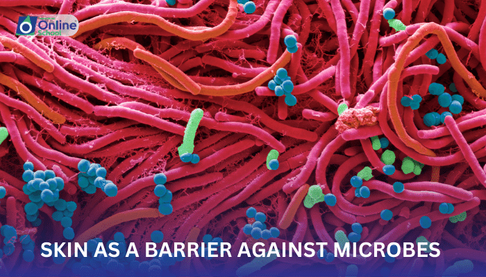 Lesson 01: Skin as a Barrier Against Microbes